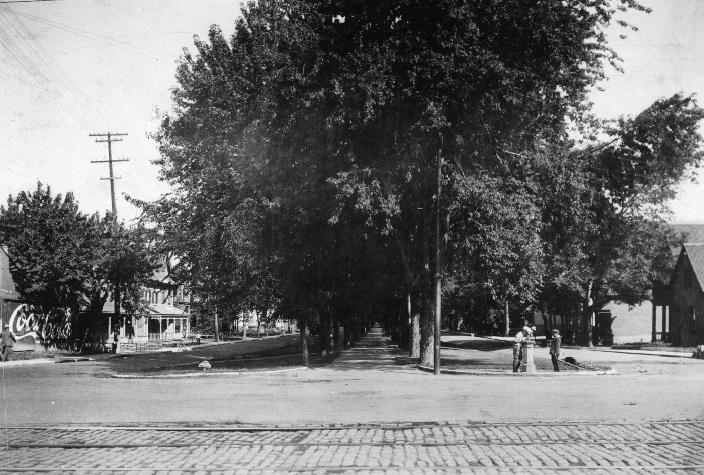 Black and white photograph of a two-lane avenue, with the central span covered with great elms. Houses border the street. Children drink from a fountain.